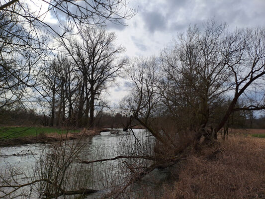 Týniště nad Orlicí, Petrovičky, 26.2.2024
Meandry Orlice.
Mots-clés: Týniště nad Orlicí Petrovičky meandry Orlice