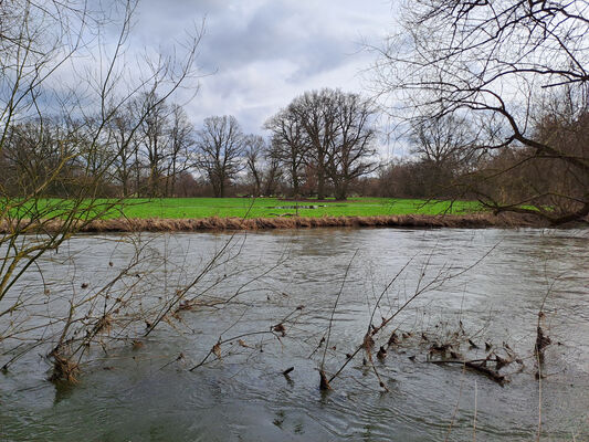 Týniště nad Orlicí, Petrovičky, 26.2.2024
Meandry Orlice.
Schlüsselwörter: Týniště nad Orlicí Petrovičky meandry Orlice