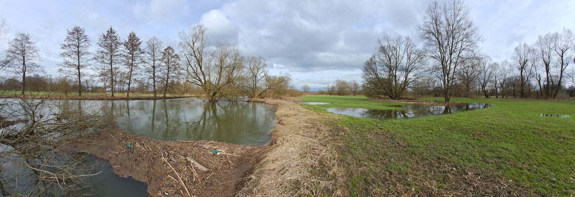 Týniště nad Orlicí, Petrovičky, 26.2.2024
Meandry Orlice.
Klíčová slova: Týniště nad Orlicí Petrovičky meandry Orlice