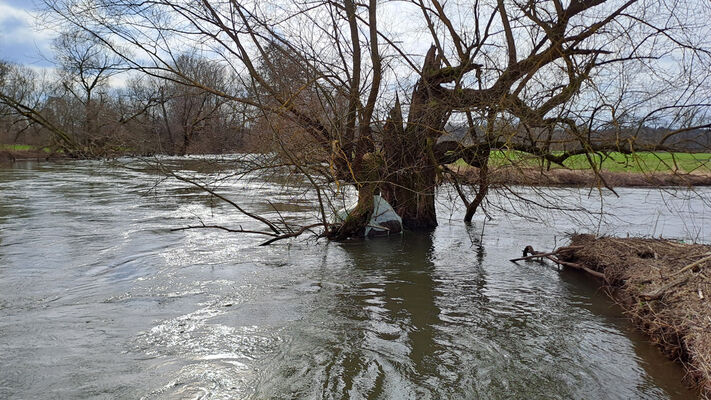 Týniště nad Orlicí, Petrovičky, 26.2.2024
Meandry Orlice.
Schlüsselwörter: Týniště nad Orlicí Petrovičky meandry Orlice