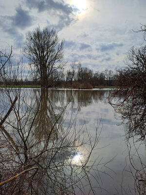 Týniště nad Orlicí, Petrovičky, 26.2.2024
Meandry Orlice.
Schlüsselwörter: Týniště nad Orlicí Petrovičky meandry Orlice