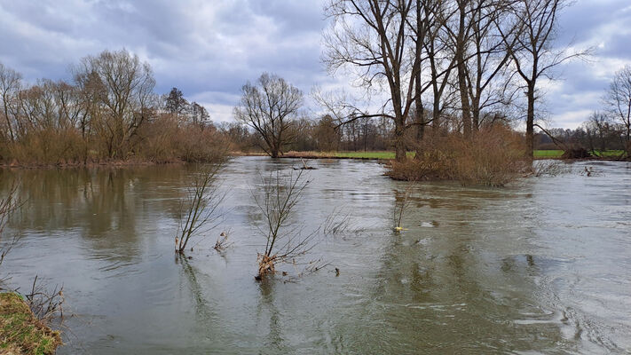 Týniště nad Orlicí, Petrovičky, 26.2.2024
Meandry Orlice.
Mots-clés: Týniště nad Orlicí Petrovičky meandry Orlice