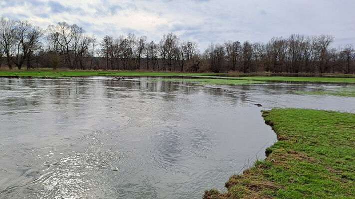 Týniště nad Orlicí, Petrovičky, 26.2.2024
Meandry Orlice.
Keywords: Týniště nad Orlicí Petrovičky meandry Orlice