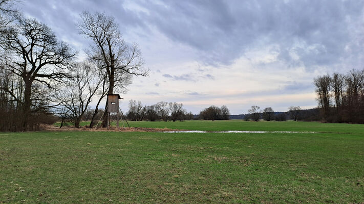 Třebechovice pod Orebem, Štěnkov, 26.2.2024
Záplavové louky Orlice u Petroviček.
Schlüsselwörter: Třebechovice pod Orebem Štěnkov Orlice