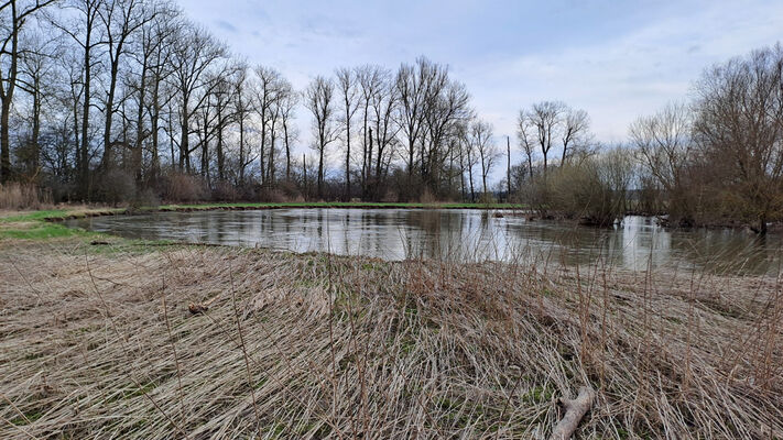 Třebechovice pod Orebem, Štěnkov, 26.2.2024
Meandr Orlice.
Schlüsselwörter: Třebechovice pod Orebem Štěnkov Orlice