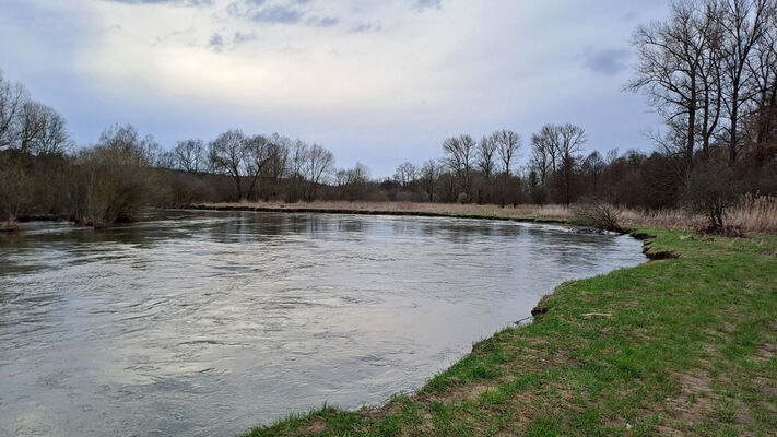 Třebechovice pod Orebem, Štěnkov, 26.2.2024
Meandr Orlice.
Keywords: Třebechovice pod Orebem Štěnkov Orlice