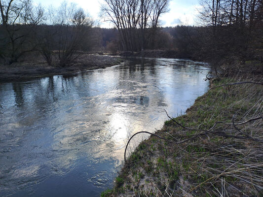 Třebechovice pod Orebem, Štěnkov, 3.3.2024
Meandry Orlice. Za bojkem. 
Mots-clés: Třebechovice pod Orebem Štěnkov meandry Orlice