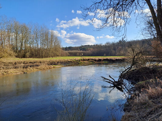 Třebechovice pod Orebem, Štěnkov, 3.3.2024
Meandry Orlice. Za bojkem. 
Keywords: Třebechovice pod Orebem Štěnkov meandry Orlice