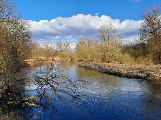 Třebechovice pod Orebem, Štěnkov, 3.3.2024
Meandry Orlice. Za bojkem. 
Keywords: Třebechovice pod Orebem Štěnkov meandry Orlice