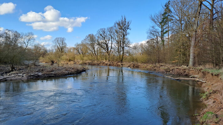 Třebechovice pod Orebem, Štěnkov, 3.3.2024
Meandry Orlice. Za bojkem. 
Keywords: Třebechovice pod Orebem Štěnkov meandry Orlice