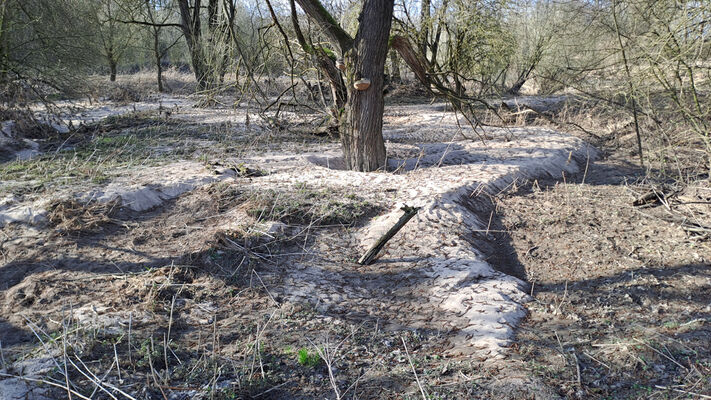 Třebechovice pod Orebem, Štěnkov, 3.3.2024
Meandry Orlice. Za bojkem. 
Keywords: Třebechovice pod Orebem Štěnkov meandry Orlice