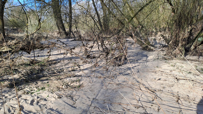 Třebechovice pod Orebem, Štěnkov, 3.3.2024
Meandry Orlice.
Keywords: Třebechovice pod Orebem Štěnkov meandry Orlice