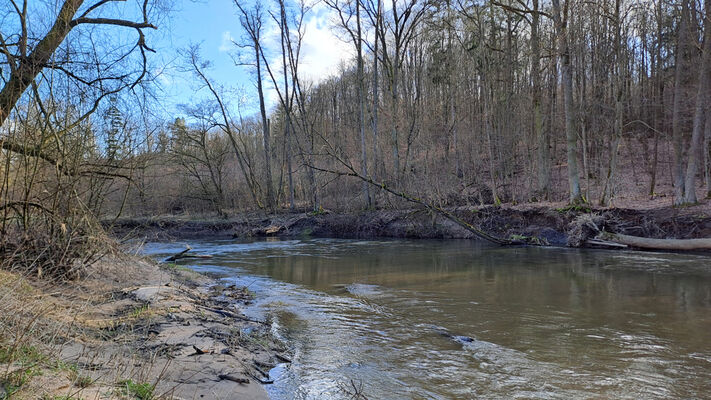 Třebechovice pod Orebem, Štěnkov, 3.3.2024
Meandry Orlice.
Schlüsselwörter: Třebechovice pod Orebem Štěnkov meandry Orlice