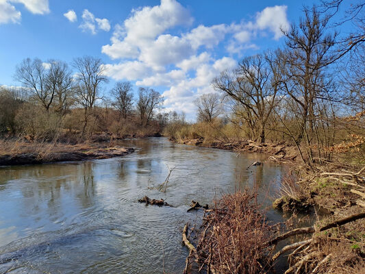 Třebechovice pod Orebem, Štěnkov, 3.3.2024
Meandry Orlice.
Mots-clés: Třebechovice pod Orebem Štěnkov meandry Orlice