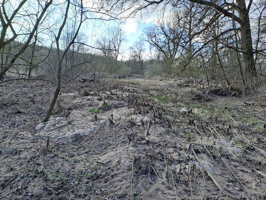 Třebechovice pod Orebem, Štěnkov, 3.3.2024
Meandry Orlice.
Schlüsselwörter: Třebechovice pod Orebem Štěnkov meandry Orlice