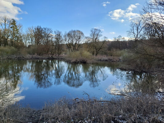 Třebechovice pod Orebem, Štěnkov, 3.3.2024
Meandry Orlice.
Keywords: Třebechovice pod Orebem Štěnkov meandry Orlice