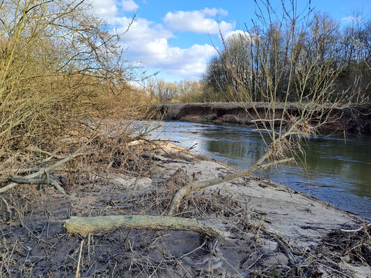 Třebechovice pod Orebem, Štěnkov, 3.3.2024
Meandry Orlice.
Mots-clés: Třebechovice pod Orebem Štěnkov meandry Orlice