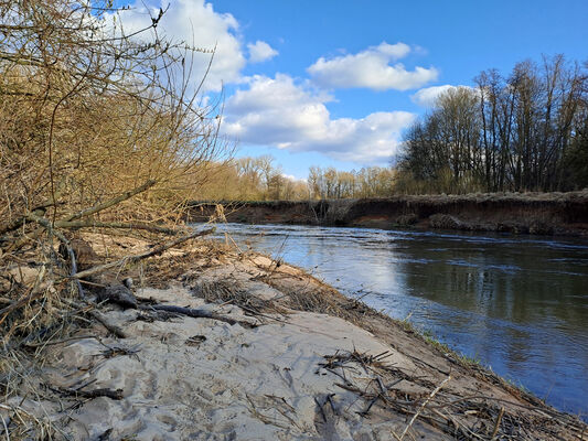 Třebechovice pod Orebem, Štěnkov, 3.3.2024
Meandry Orlice.
Mots-clés: Třebechovice pod Orebem Štěnkov meandry Orlice