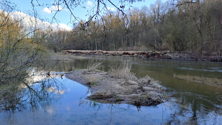 Třebechovice pod Orebem, Štěnkov, 3.3.2024
Meandry Orlice.
Mots-clés: Třebechovice pod Orebem Štěnkov meandry Orlice