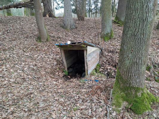 Týniště nad Orlicí, Petrovičky, 3.3.2024
Kryštofova studánka.
Schlüsselwörter: Týniště nad Orlicí Petrovičky lužní les U Kryštofovy studánky