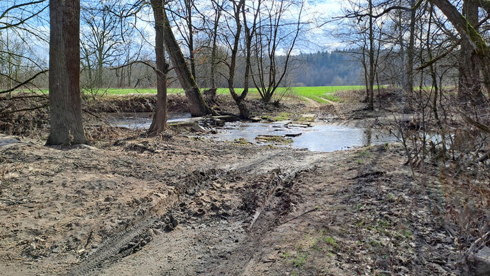 Třebechovice pod Orebem, Štěnkov, 3.3.2024
Za bojkem, staré rameno Orlice - brod.
Keywords: Třebechovice pod Orebem Štěnkov meandry Orlice