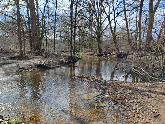 Třebechovice pod Orebem, Štěnkov, 3.3.2024
Za bojkem, staré rameno Orlice.
Schlüsselwörter: Třebechovice pod Orebem Štěnkov meandry Orlice