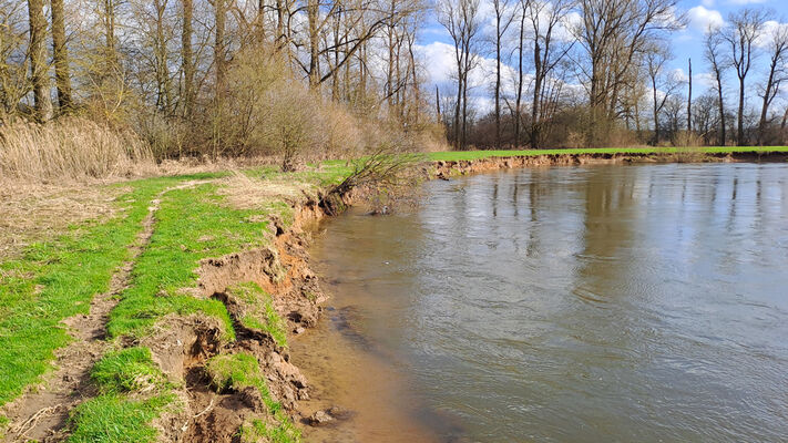 Třebechovice pod Orebem, Štěnkov, 3.3.2024
Za bojkem, meandry Orlice.
Schlüsselwörter: Třebechovice pod Orebem Štěnkov meandry Orlice