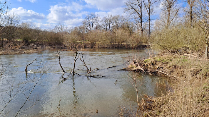 Třebechovice pod Orebem, Štěnkov, 3.3.2024
Za bojkem, meandry Orlice.
Schlüsselwörter: Třebechovice pod Orebem Štěnkov meandry Orlice