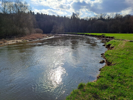 Třebechovice pod Orebem, Štěnkov, 3.3.2024
Meandry Orlice. Za bojkem. 
Mots-clés: Třebechovice pod Orebem Štěnkov meandry Orlice