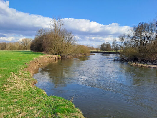 Třebechovice pod Orebem, Štěnkov, 3.3.2024
Meandry Orlice. Za bojkem. 
Keywords: Třebechovice pod Orebem Štěnkov meandry Orlice