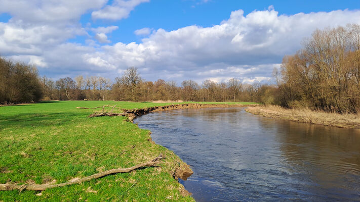 Třebechovice pod Orebem, Štěnkov, 3.3.2024
Meandry Orlice. Za bojkem. 
Klíčová slova: Třebechovice pod Orebem Štěnkov meandry Orlice