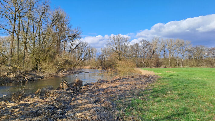 Třebechovice pod Orebem, Štěnkov, 3.3.2024
Meandry Orlice. Za bojkem. 
Mots-clés: Třebechovice pod Orebem Štěnkov meandry Orlice