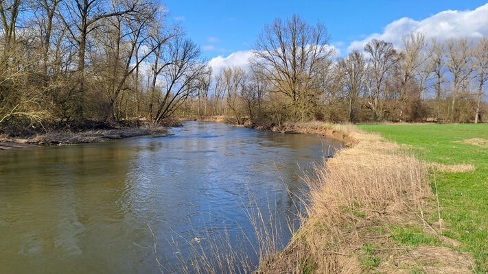 Třebechovice pod Orebem, Štěnkov, 3.3.2024
Meandry Orlice. Za bojkem. 
Mots-clés: Třebechovice pod Orebem Štěnkov meandry Orlice