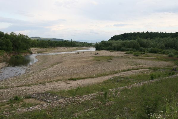 Pidhirya, 21.6.2011
Štěrkové náplavy v korytu řeky Bystricja Solitvinska.
Klíčová slova: Pidhirya Bystricja Solitvinska Zorochros meridionalis dermestoides Betarmon bisbimaculatus Adrastus krashtali rachifer pallens Cidnopus aeruginosus Synaptus filiformis