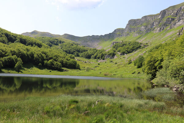 Pievepelago, 17.6.2023
Parco regionalle dell´Alto Appennnino Modenese, Lago Baccio.
Keywords: Provincia di Modena Emilia-Romagna Pievepelago Parco regionalle dell´Alto Appennnino Modenese Lago Baccio Monte Rondinaio Anostirus maccapanii