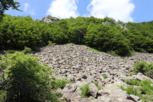 Pievepelago, 17.6.2023
Parco regionalle dell´Alto Appennnino Modenese, Lago Baccio.
Mots-clés: Provincia di Modena Emilia-Romagna Pievepelago Parco regionalle dell´Alto Appennnino Modenese Lago Baccio Monte Rondinaio