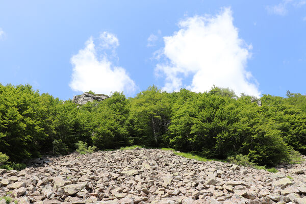 Pievepelago, 17.6.2023
Parco regionalle dell´Alto Appennnino Modenese, Lago Baccio.
Klíčová slova: Provincia di Modena Emilia-Romagna Pievepelago Parco regionalle dell´Alto Appennnino Modenese Lago Baccio Monte Rondinaio