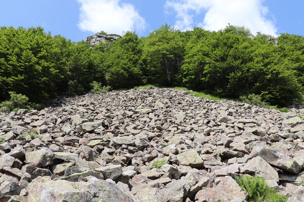 Pievepelago, 17.6.2023
Parco regionalle dell´Alto Appennnino Modenese, Lago Baccio.
Keywords: Provincia di Modena Emilia-Romagna Pievepelago Parco regionalle dell´Alto Appennnino Modenese Lago Baccio Monte Rondinaio