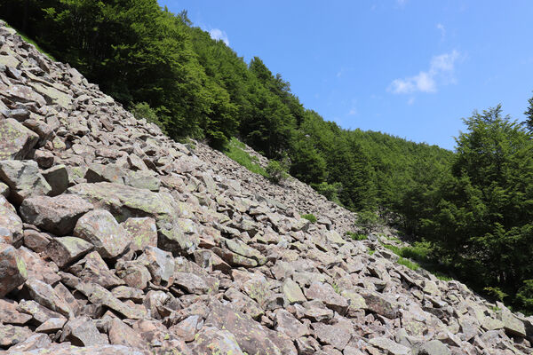 Pievepelago, 17.6.2023
Parco regionalle dell´Alto Appennnino Modenese, Lago Baccio.
Schlüsselwörter: Provincia di Modena Emilia-Romagna Pievepelago Parco regionalle dell´Alto Appennnino Modenese Lago Baccio Monte Rondinaio