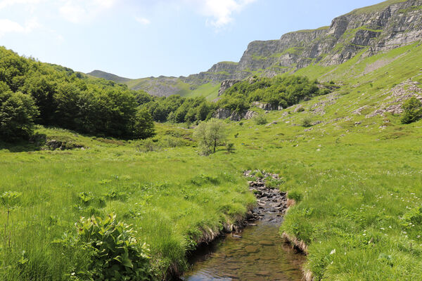 Pievepelago, 17.6.2023
Parco regionalle dell´Alto Appennnino Modenese, Lago Baccio.
Keywords: Provincia di Modena Emilia-Romagna Pievepelago Parco regionalle dell´Alto Appennnino Modenese Lago Baccio