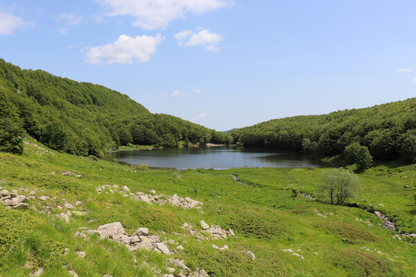 Pievepelago, 17.6.2023
Parco regionalle dell´Alto Appennnino Modenese, Lago Baccio.
Schlüsselwörter: Provincia di Modena Emilia-Romagna Pievepelago Parco regionalle dell´Alto Appennnino Modenese Lago Baccio Monte Rondinaio Anostirus maccapanii