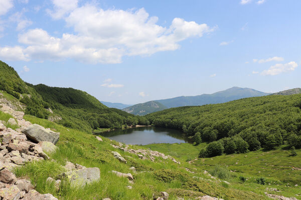 Pievepelago, 17.6.2023
Schlüsselwörter: Provincia di Modena Emilia-Romagna Pievepelago Parco regionalle dell´Alto Appennnino Modenese Lago Baccio Monte Rondinaio Anostirus maccapanii