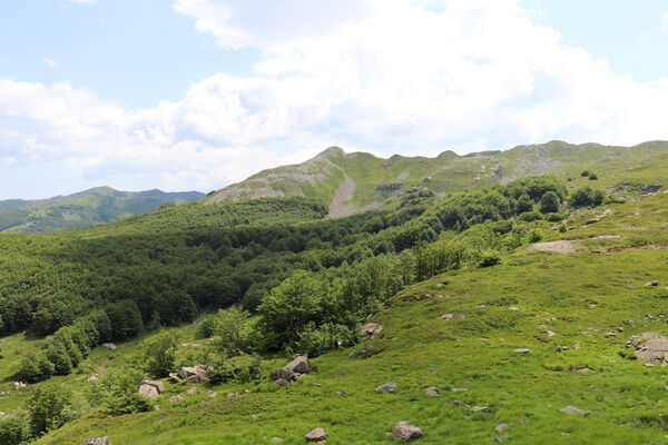 Pievepelago, 17.6.2023
Parco regionalle dell´Alto Appennnino Modenese, Lago Baccio - Monte Rondinaio.
Mots-clés: Provincia di Modena Emilia-Romagna Pievepelago Parco regionalle dell´Alto Appennnino Modenese Lago Baccio Monte Rondinaio Anostirus maccapanii