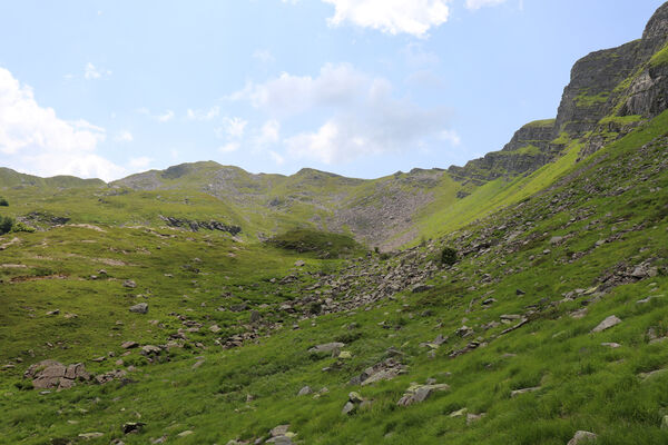 Pievepelago, 17.6.2023
Parco regionalle dell´Alto Appennnino Modenese, Lago Baccio - Monte Rondinaio.
Keywords: Provincia di Modena Emilia-Romagna Pievepelago Parco regionalle dell´Alto Appennnino Modenese Lago Baccio Monte Rondinaio Anostirus maccapanii