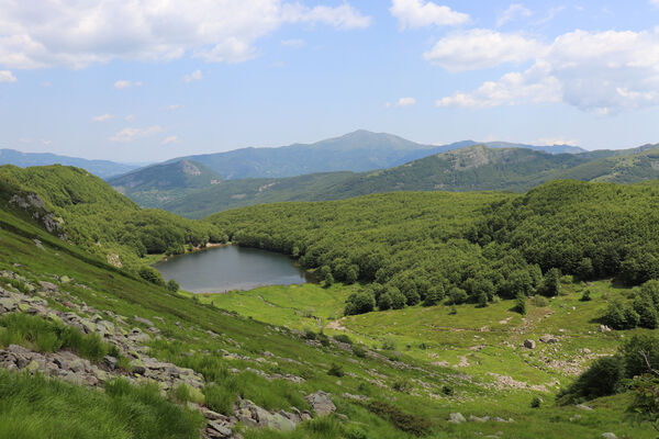 Pievepelago, 17.6.2023
Parco regionalle dell´Alto Appennnino Modenese, Lago Baccio. Biotop kovaříků Anostirus maccapanii.
Keywords: Provincia di Modena Emilia-Romagna Pievepelago Parco regionalle dell´Alto Appennnino Modenese Lago Baccio Monte Rondinaio Anostirus maccapanii