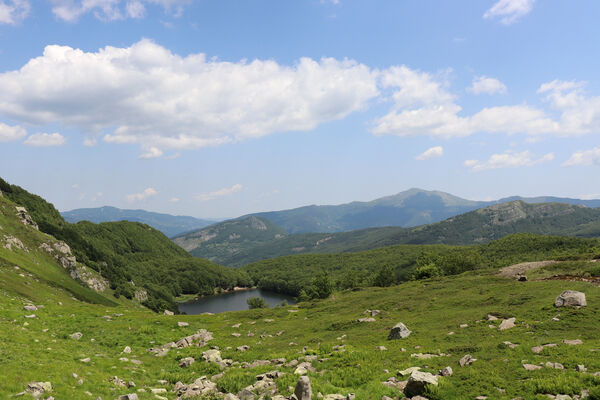 Pievepelago, 17.6.2023
Parco regionalle dell´Alto Appennnino Modenese, Lago Baccio. Biotop kovaříků Anostirus maccapanii.
Keywords: Provincia di Modena Emilia-Romagna Pievepelago Parco regionalle dell´Alto Appennnino Modenese Lago Baccio Monte Rondinaio Anostirus maccapanii