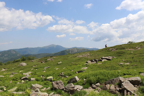 Pievepelago, 17.6.2023
Parco regionalle dell´Alto Appennnino Modenese, Lago Baccio - Monte Rondinaio.
Mots-clés: Provincia di Modena Emilia-Romagna Pievepelago Parco regionalle dell´Alto Appennnino Modenese Lago Baccio Monte Rondinaio