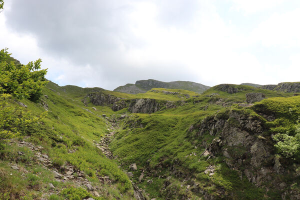 Pievepelago, 17.6.2023
Parco regionalle dell´Alto Appennnino Modenese, Lago Baccio - Monte Rondinaio. 
Keywords: Provincia di Modena Emilia-Romagna Pievepelago Parco regionalle dell´Alto Appennnino Modenese Lago Baccio Monte Rondinaio