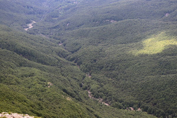 Pievepelago, 17.6.2023
Parco regionalle dell´Alto Appennnino Modenese. Rio delle Tagliole z Monte Rondinaio. 
Klíčová slova: Provincia di Modena Emilia-Romagna Pievepelago Parco regionalle dell´Alto Appennnino Modenese Lago Baccio Monte Rondinaio