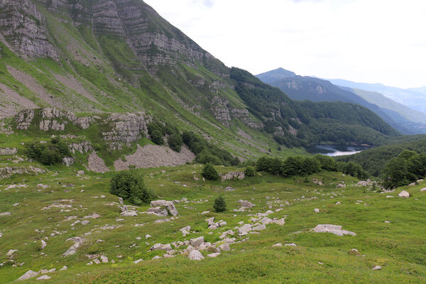 Pievepelago, 17.6.2023
Parco regionalle dell´Alto Appennnino Modenese, Lago Baccio - Monte Rondinaio. 
Mots-clés: Provincia di Modena Emilia-Romagna Pievepelago Parco regionalle dell´Alto Appennnino Modenese Lago Baccio Monte Rondinaio Anostirus maccapanii